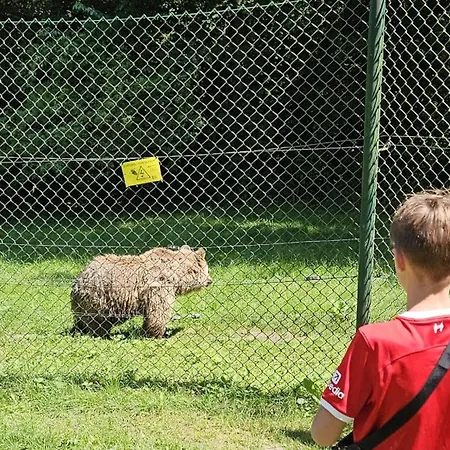 Apartmán - Zur Schamper Muehle *
