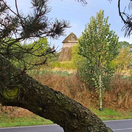 - Zur Schamper Muehle * Gotthun