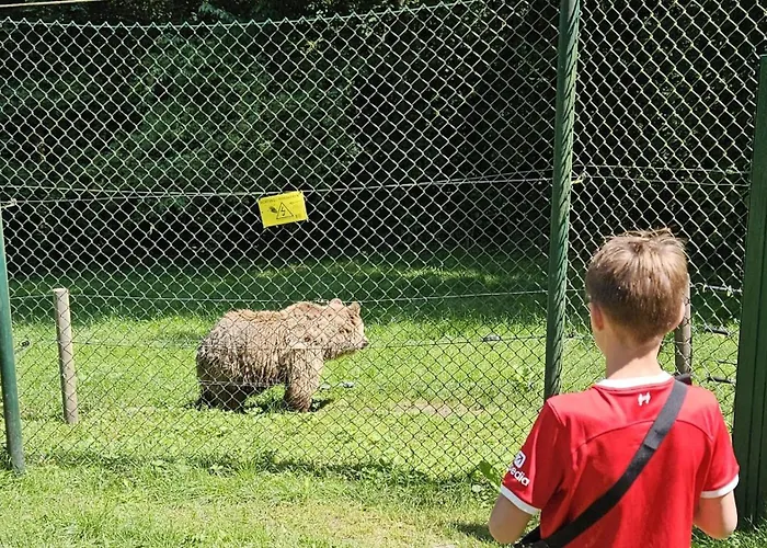 Apartamento - Zur Schamper Mühle *