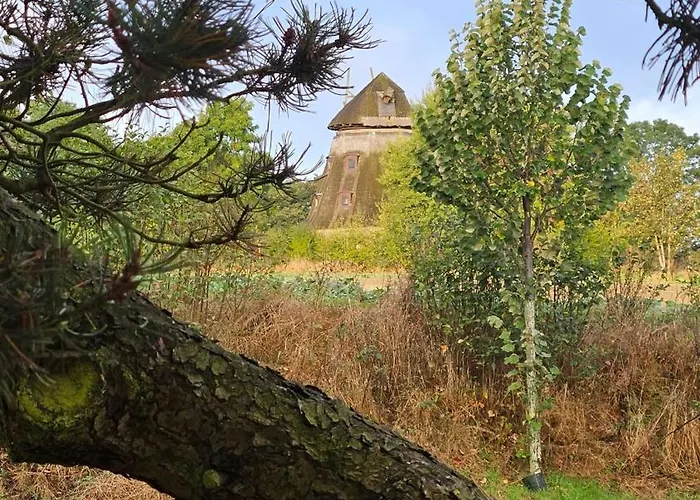 - Zur Schamper Mühle * Gotthun