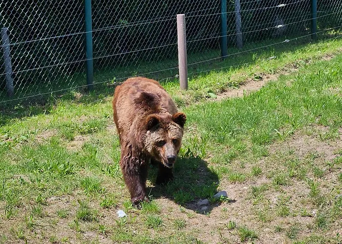 - Zur Schamper Mühle Apartamento Gotthun